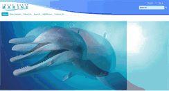 Desktop Screenshot of imagequestmarine.com