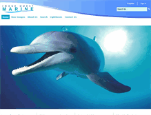 Tablet Screenshot of imagequestmarine.com